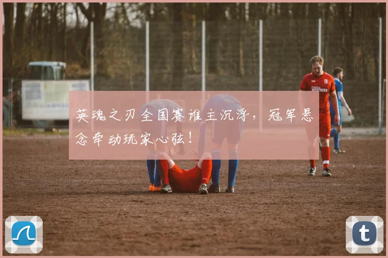英魂之刃全国赛谁主沉浮，冠军悬念牵动玩家心弦！