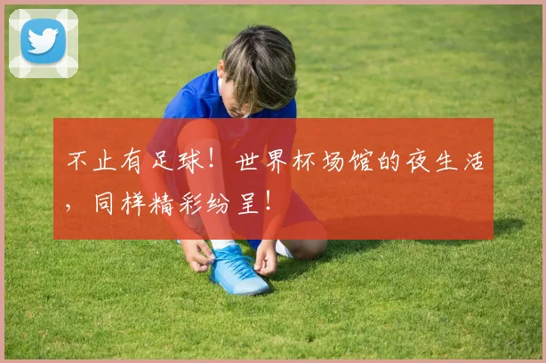 不止有足球！世界杯场馆的夜生活，同样精彩纷呈！
